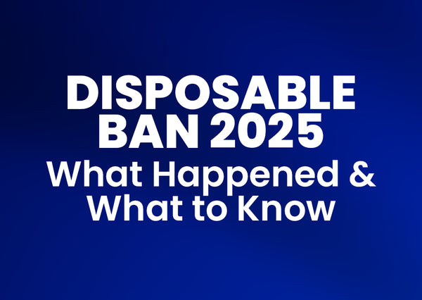 Disposable Ban 2025: What happened and what to know.