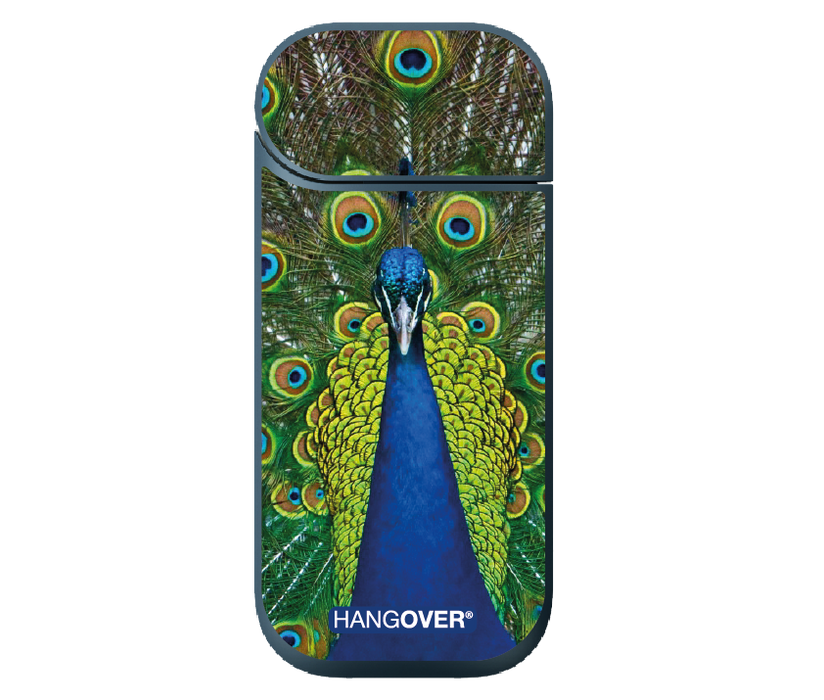Hangover - iQOS Skin - Peacock